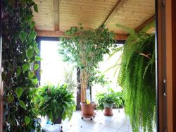 Вилла 6+kk с зимним садом, Прага 4